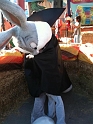 Jess_SixFlags_Sept (23)